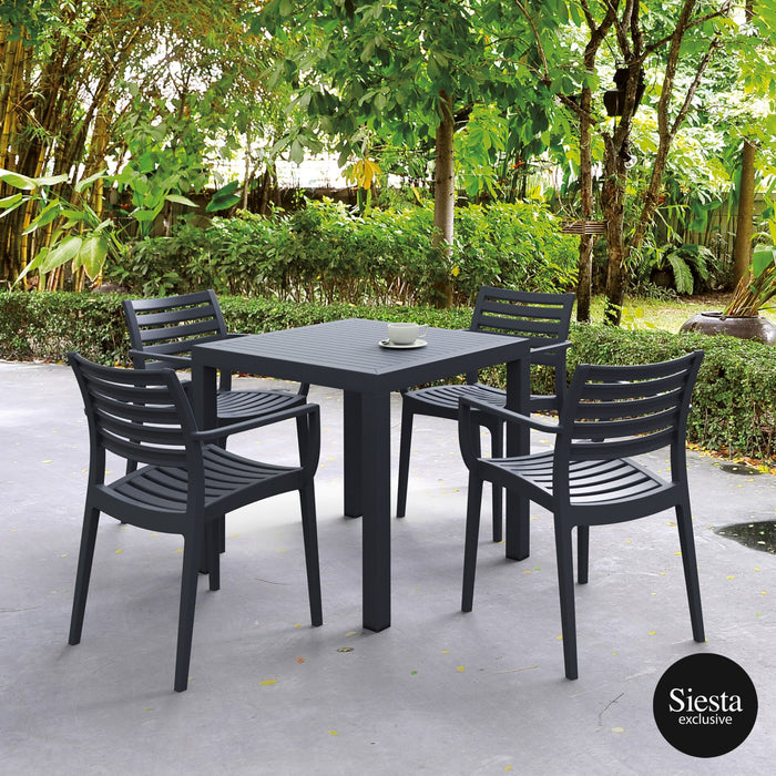 Ares 5 Piece Outdoor Dining Set with Artemis Armchair