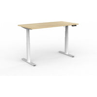 Agile Double Motor Electric Individual Desk