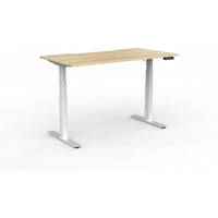 Agile Double Motor Electric Individual Desk