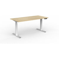 Agile Double Motor Electric Individual Desk