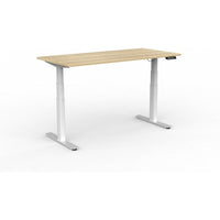 Agile Double Motor Electric Individual Desk