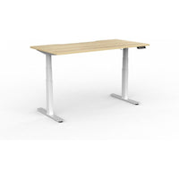 Agile Double Motor Electric Individual Desk
