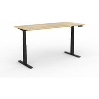 Agile Double Motor Electric Individual Desk
