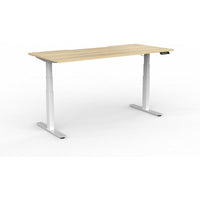 Agile Double Motor Electric Individual Desk