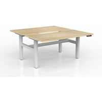 Agile 2-Column Electric Shared Desk