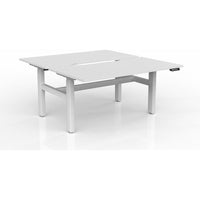 Agile 2-Column Electric Shared Desk