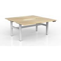 Agile 2-Column Electric Shared Desk