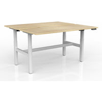 Agile 2-Column Electric Shared Desk