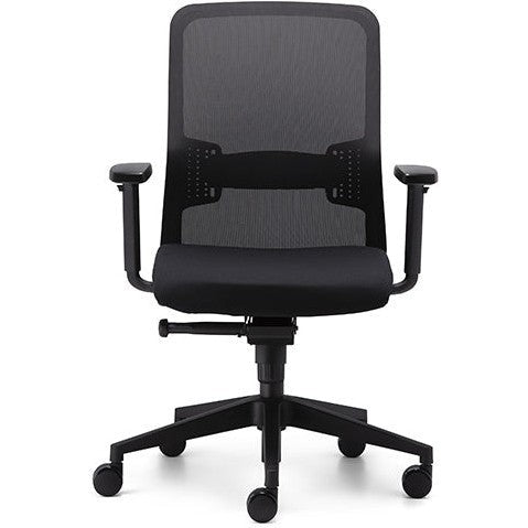 Graphite ‘Pronto’