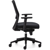 Graphite ‘Pronto’