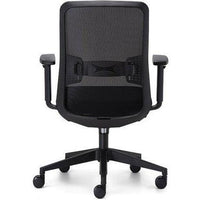 Graphite ‘Pronto’