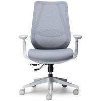 Voka – White Grey ‘Pronto’