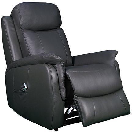 Ascot Dual Motor Lift Chair