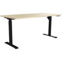 Inspire Quick Stand Electric Height Adjustable Desk