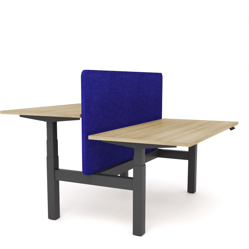 Dynamo Plus - Electric Height Adjustable Double Sided Workstation With Screen (Blue Screen)