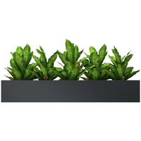 A-File Sliding Door Cabinet 1600W - (Planter Box Only) - 5 Pots