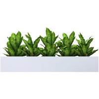 A-File Sliding Door Cabinet 1600W - (Planter Box Only) - 5 Pots