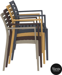 Ares 5 Piece Outdoor Dining Set with Artemis Armchair