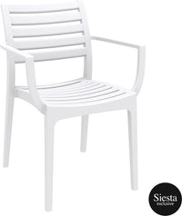 Ares 5 Piece Outdoor Dining Set with Artemis Armchair