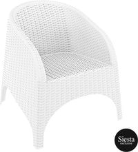 9 Piece Outdoor Rattan Aruba Armchair Dining Setting